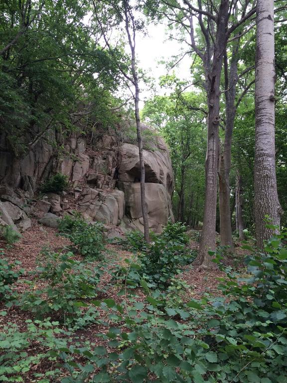 Гостьовий будинок Hamburgoe Гамбурґсунд Екстер'єр фото